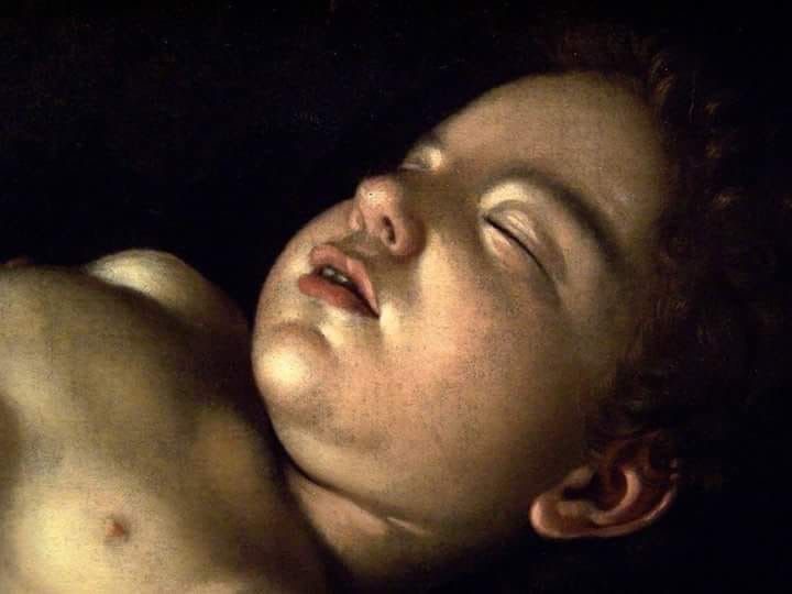 Книга «Флоренция в кармане» Татьяны Майской