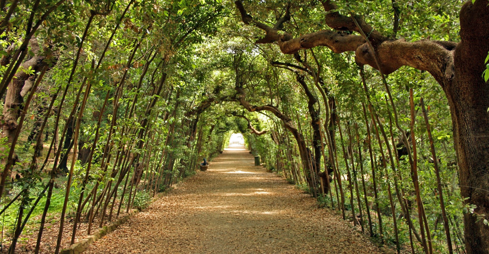 Книга «Флоренция в кармане» Татьяны Майской