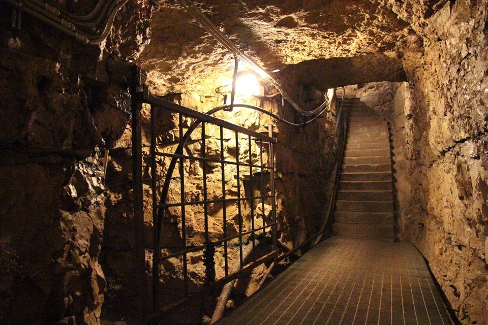 Книга «Флоренция в кармане» Татьяны Майской